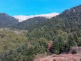 /album/ekthesi-fotografion/img-12163821883323-jpeg/